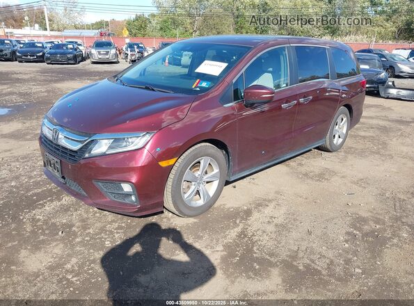 5FNRL6H50LB072159 2020 HONDA ODYSSEY Burgundy Առջևի ձախ երեք քառորդ տեսարան