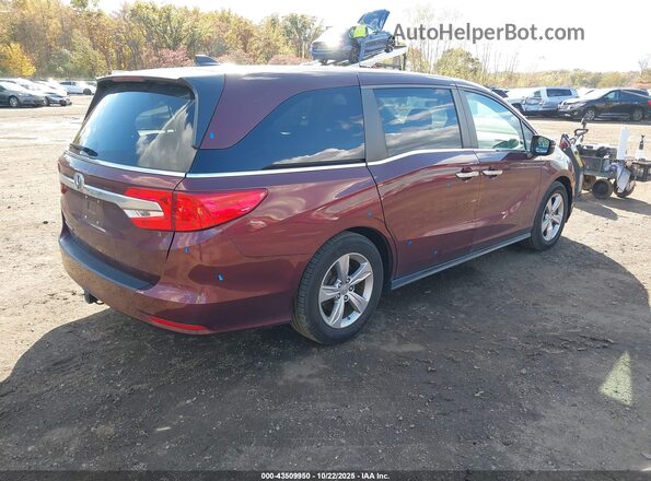 5FNRL6H50LB072159 2020 HONDA ODYSSEY Burgundy Հետևի աջ