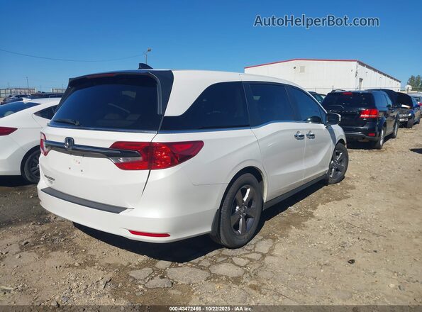 5FNRL6H50MB014070 2021 HONDA ODYSSEY White Հետևի աջ