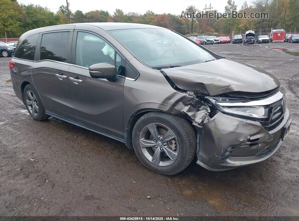 5FNRL6H53MB036922 2021 HONDA ODYSSEY Brown Vista frontal