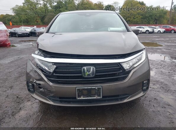 5FNRL6H53MB036922 2021 HONDA ODYSSEY Brown 