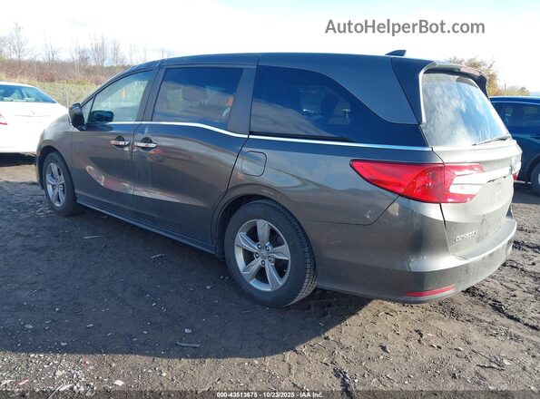 5FNRL6H55LB032594 2020 HONDA ODYSSEY Gray უკანა მარცხენა