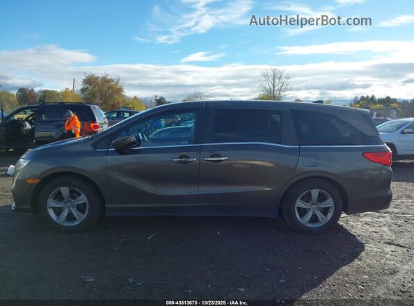 5FNRL6H55LB032594 2020 HONDA ODYSSEY Gray სალონის 360-გრადუსიანი ხედი