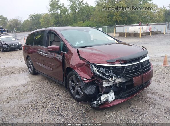 5FNRL6H55MB016347 2021 HONDA ODYSSEY Красный Вид задней части салона
