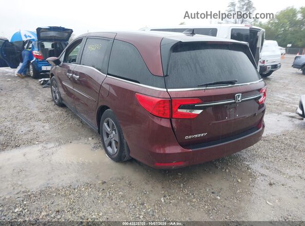 5FNRL6H55MB016347 2021 HONDA ODYSSEY Красный Задняя левая четверть