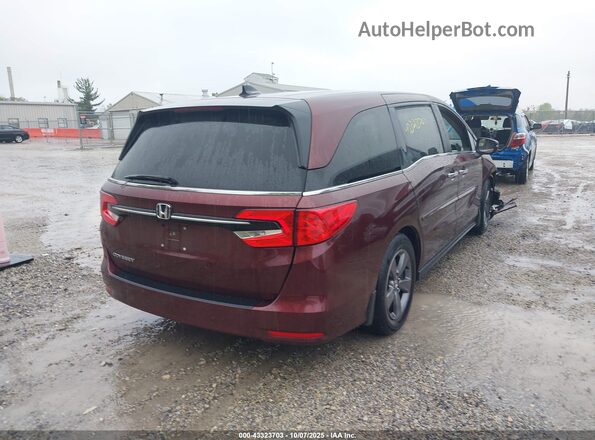 5FNRL6H55MB016347 2021 HONDA ODYSSEY Красный Задняя правая четверть