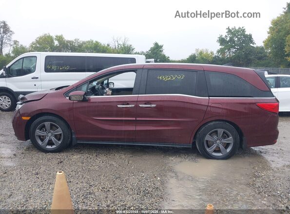 5FNRL6H55MB016347 2021 HONDA ODYSSEY Красный Панорамный вид салона 360°