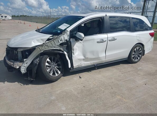 5FNRL6H61RB008617 2024 HONDA ODYSSEY White Front left