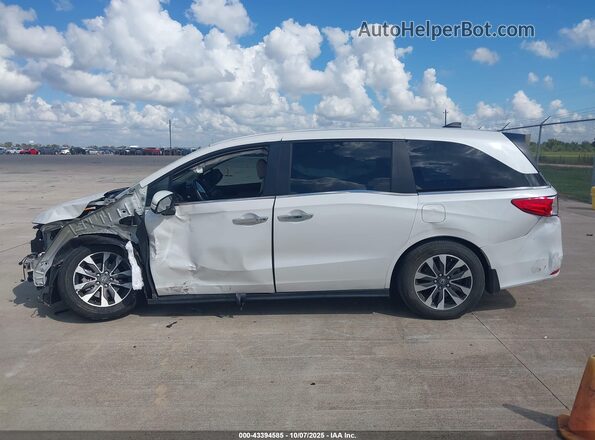 5FNRL6H61RB008617 2024 HONDA ODYSSEY White 360 interior view