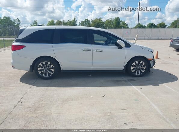 5FNRL6H61RB008617 2024 HONDA ODYSSEY White Rear interior view