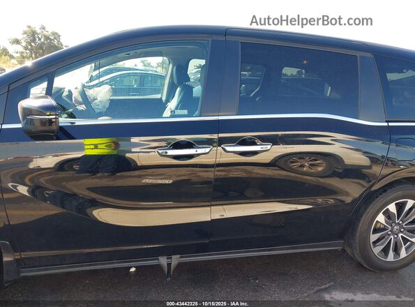 5FNRL6H62PB076597 2023 HONDA ODYSSEY Black Սալոնի 360 աստիճան տեսք