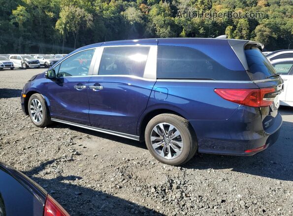 5FNRL6H62RB056630 2024 HONDA ODYSSEY Blue 