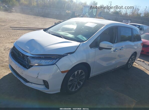 5FNRL6H65RB045590 2024 HONDA ODYSSEY White Przód lewy