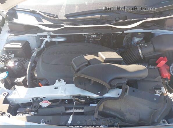 5FNRL6H65RB045590 2024 HONDA ODYSSEY White Widok z tyłu