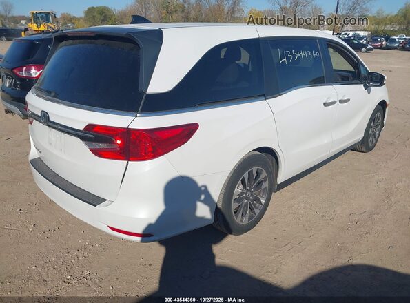 5FNRL6H65RB045590 2024 HONDA ODYSSEY White Tył prawy