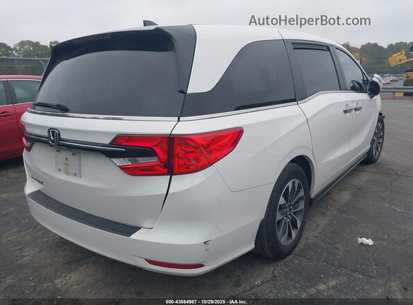 5FNRL6H67PB064980 2023 HONDA ODYSSEY White Tył prawy