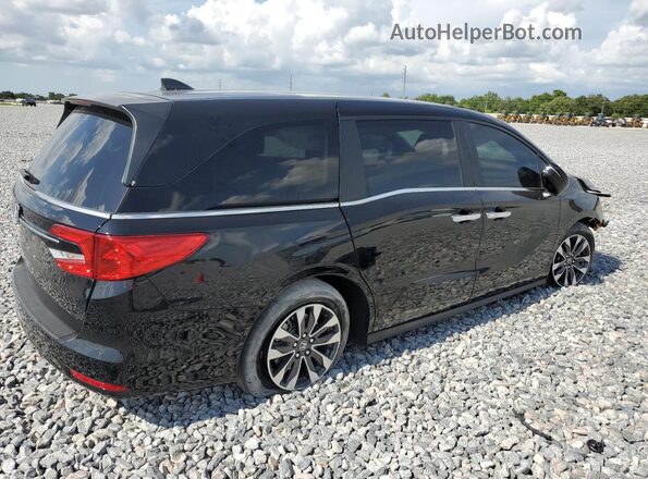 5FNRL6H68RB065834 2024 HONDA ODYSSEY Black Հետևի աջ