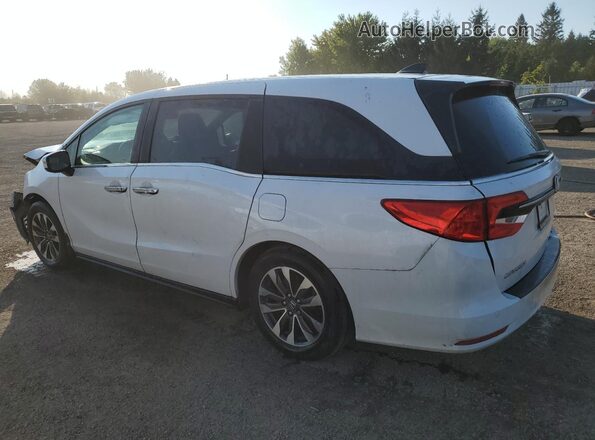 5FNRL6H68RB504045 2024 HONDA ODYSSEY White Задня ліва чверть