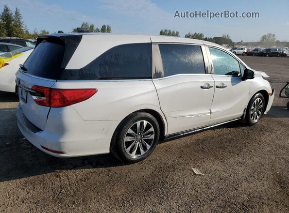 5FNRL6H68RB504045 2024 HONDA ODYSSEY White Задня права чверть