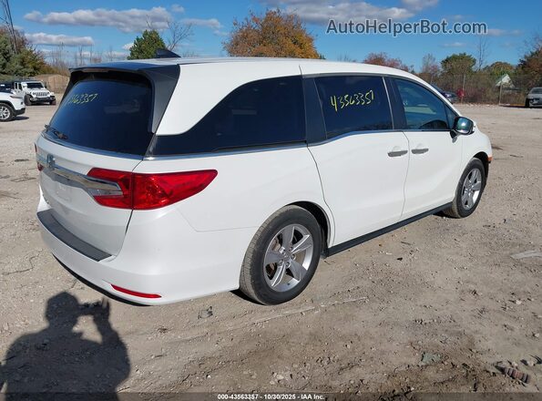 5FNRL6H74LB053261 2020 HONDA ODYSSEY White Tył prawy