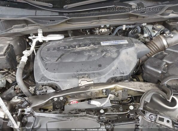 5FNRL6H74LB065099 2020 HONDA ODYSSEY Gray Vista trasera
