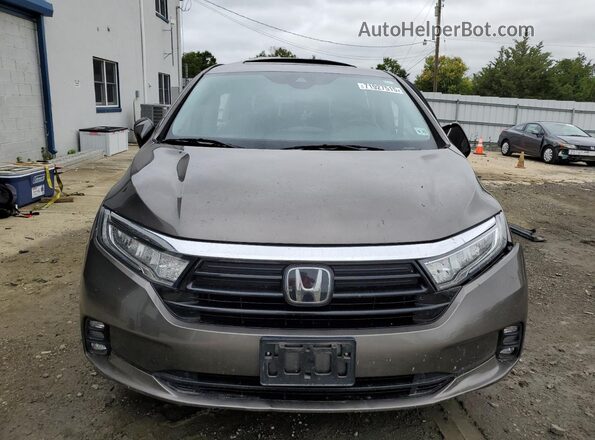 5FNRL6H75MB002661 2021 HONDA ODYSSEY Brown Դիմացի տեսք