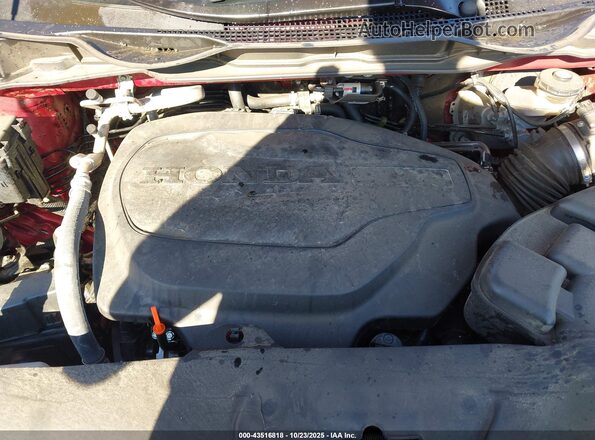 5FNRL6H75RB024649 2024 HONDA ODYSSEY Maroon უკანა ხედი