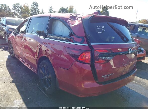 5FNRL6H75RB024649 2024 HONDA ODYSSEY Maroon უკანა მარცხენა