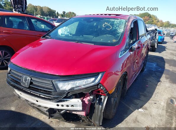 5FNRL6H75RB024649 2024 HONDA ODYSSEY Maroon წინა ხედი