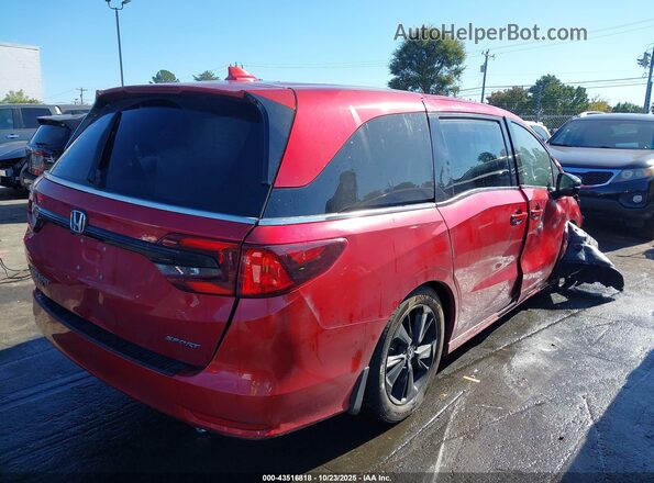 5FNRL6H75RB024649 2024 HONDA ODYSSEY Maroon უკანა მარჯვენა
