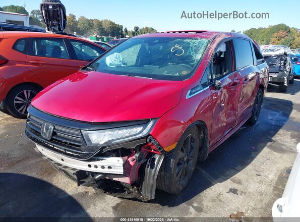 5FNRL6H75RB024649 2024 HONDA ODYSSEY Maroon წინა მარცხენა ხედი სამი მეოთხედიდან