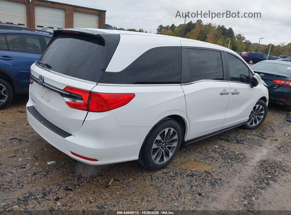 5FNRL6H76MB008873 2021 HONDA ODYSSEY White Հետևի աջ
