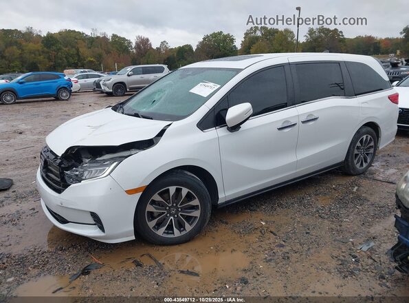 5FNRL6H76MB008873 2021 HONDA ODYSSEY White Առջևի ձախ երեք քառորդ տեսարան