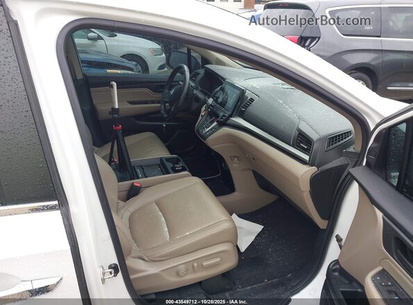 5FNRL6H76MB008873 2021 HONDA ODYSSEY White Սալոնի դիմացի տեսք