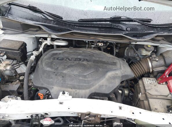 5FNRL6H76MB008873 2021 HONDA ODYSSEY White Հետևի տեսք