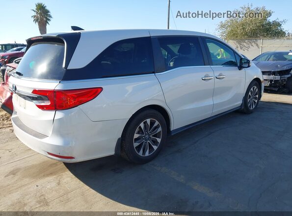 5FNRL6H76NB064409 2022 HONDA ODYSSEY White Tył prawy