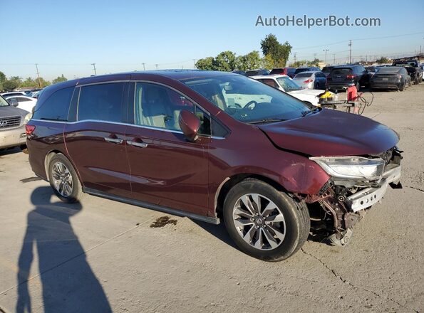 5FNRL6H77MB023883 2021 HONDA ODYSSEY Burgundy Առջևի աջ