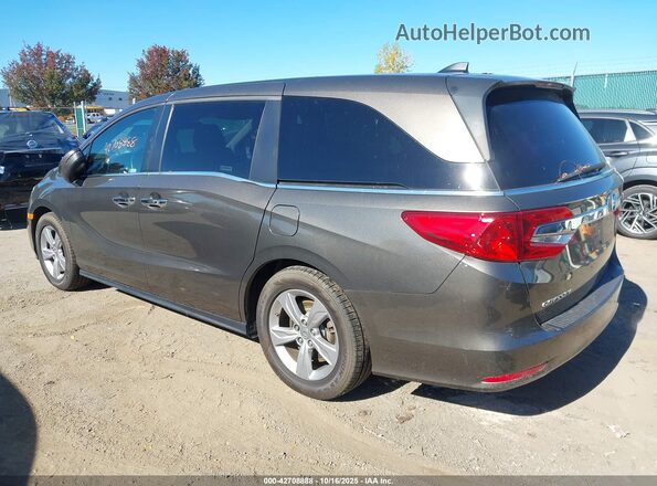 5FNRL6H78LB030341 2020 HONDA ODYSSEY Gray Задня ліва чверть