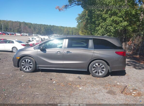 5FNRL6H79NB052237 2022 HONDA ODYSSEY Silver Widok wnętrza 360 stopni