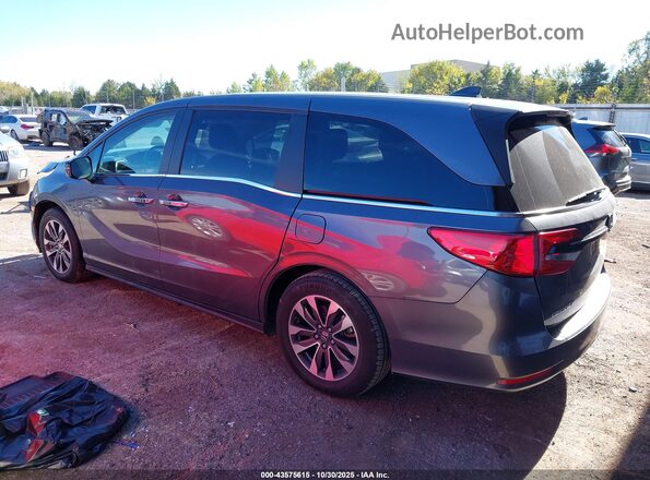 5FNRL6H7XNB051176 2022 HONDA ODYSSEY Серый Задняя левая четверть
