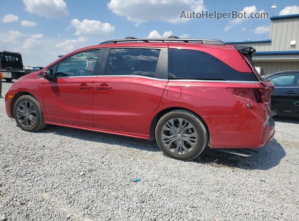 5FNRL6H84SB002849 2025 HONDA ODYSSEY Burgundy Հետևի ձախ