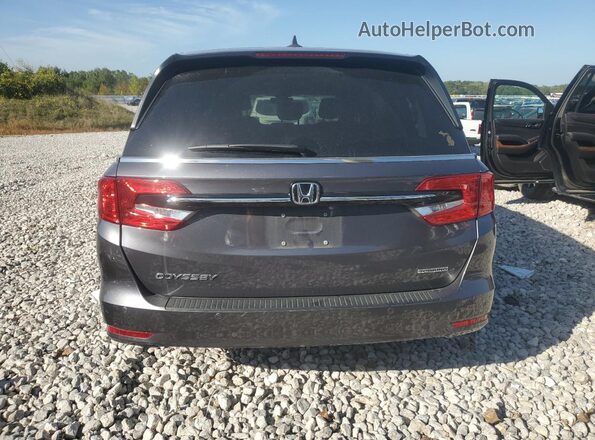 5FNRL6H89RB021892 2024 HONDA ODYSSEY Gray 