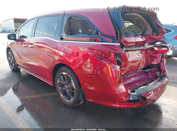 5FNRL6H90RB074067 2024 HONDA ODYSSEY Red უკანა მარცხენა