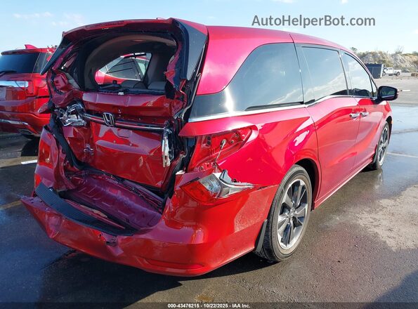 5FNRL6H90RB074067 2024 HONDA ODYSSEY Red უკანა მარჯვენა