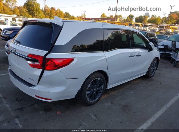 5FNRL6H94RB051519 2024 HONDA ODYSSEY White უკანა მარჯვენა