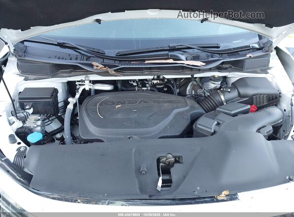 5FNRL6H94RB051519 2024 HONDA ODYSSEY White უკანა ხედი
