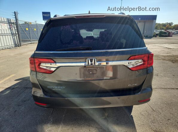 5FNRL6H95LB030329 2020 HONDA ODYSSEY Gray Rear view