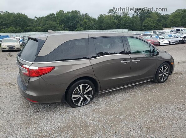 5FNRL6H96LB023812 2020 HONDA ODYSSEY Brown Հետևի աջ