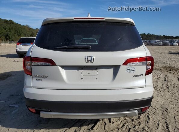 5FNYF6H51LB014242 2020 HONDA PILOT Белый Вид сзади