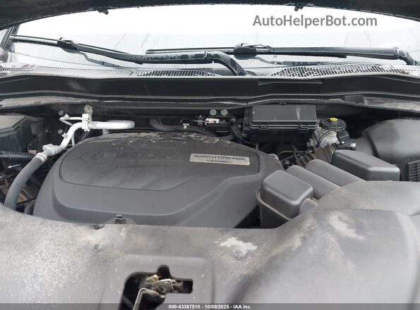 5FNYF8H50LB015877 2020 HONDA PASSPORT Коричневый Вид сзади